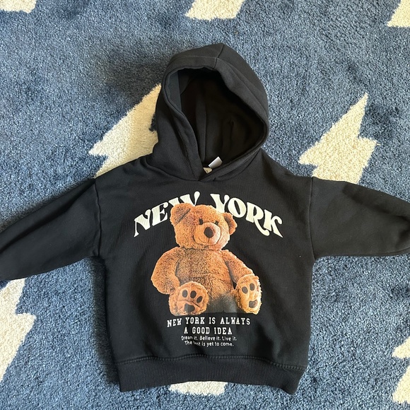 Zara Other - Zara  toddler hoodie